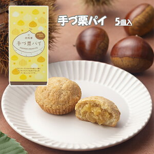 (株)母恵夢 手づ栗パイ箱5個入 愛媛 お土産 お菓子 プレゼント ギフト