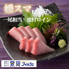 こもこもShop　養殖スマ(媛スマ)冷凍皮付ロイン 2パック/箱　愛媛 ご家庭用≪熨斗対応不可≫