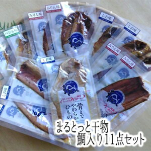 【愛媛の人気お土産】(株)キシモトまるとっと干物鯛入り11点セット<おみやげ最適><介護食にも>【2018】