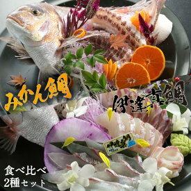 宇和島プロジェクト みかん鯛＆伊達真鯛 お刺身食べ比べセット