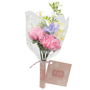 ydp̃~jԁEԁz̉  (sN) S-11  18cm y~pi  ފ   ԑ AWg ~j  RpNgz