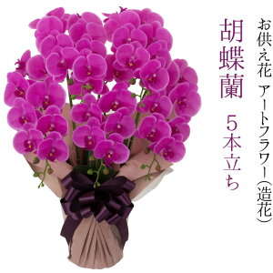 Ӓ 5{  A[gt[iԁj sN ԑt 70cm yzy~pi  ފ  ~   ԑ t[ AWg Ԋt Mtg 