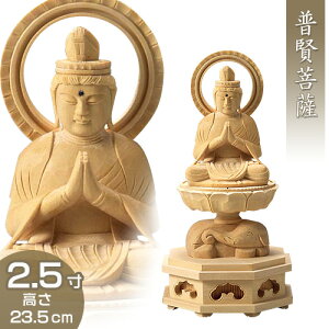 F(CEN܂) ؐ 2.5 23.5cm×11.2cm yzy~pi  ފ  F ؐ ؒ Ђ qo CN N N ւєNz