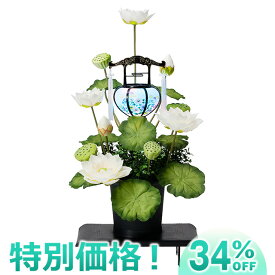 楽天市場 水光蓮の通販