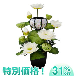 y~񓔁E~傤zј@ O (1) 48cm×35cmyzyn񓔁zy~pi ~ ~  V~ ~ V~ ~傤 ~ O   