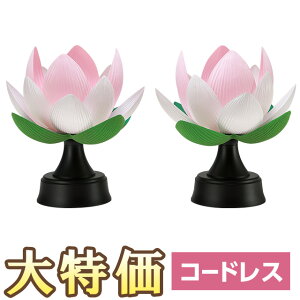 y~񓔁E~傤z~ O Ԙ@ R[hX G835() 19cm×20cmyzy~pi ~  ~ V~  ~ V~ ~ s LED dr u