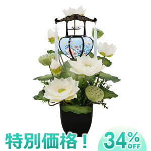 y~񓔁E~傤z]ј@ O (1) 48cm×35cmyzyn񓔁zy~pi ~ ~  V~ ~ V~ ~傤 ~ O  