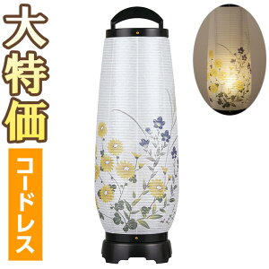 y~񓔁E~傤z~ ڂ LED R[hX 2732-T() 55cm×18cmyzy~pi  _ ~ ~j ~ V~  ~  s O ~ ~