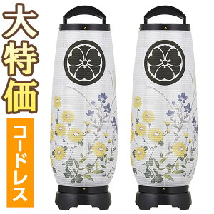 y~񓔁E~傤zƖ ~ ڂ LED R[hX 2732-TK-2 ΃Zbg(2) 55cm×18cmyzy~pi _ ~ ~j ~ V~  ~  O ~
