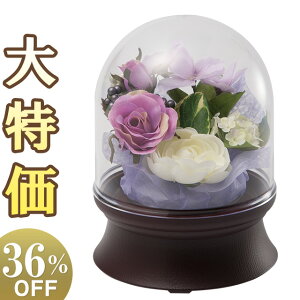 y~񓔁E~傤z~j~ t[h[1 F LED R[hX 6675() 16cm×12cmyzy~pi ~ _ ~ V~ ~  s ~ ~j R