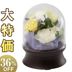 y~񓔁E~傤z~j~ t[h[2 F LED R[hX 6676() 16cm×12cmyzy~pi ~ _ ~ V~ ~  s ~ ~j R