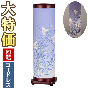 y~񓔁E~傤z~ LED R[hX ]s ̂ǂ  3781-K() 49cm×15cmyzy~pi ~  _ ~j ~jTCY  킢 ~ V~ 