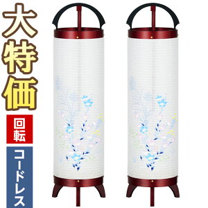 y~񓔁E~傤z~ LED R[hX ]s ԍ5 3844-K-2 ΃Zbg(2) 60cm×17cmyzy~pi ~  _ ~j ~jTCY  킢 