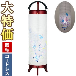 y~񓔁E~傤z~ LED R[hX ]s ԍ5 3844-K 60cm×17cmyzy~pi ~  _ ~j ~jTCY  킢  ~ V~ 