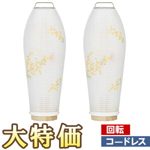 y~񓔁E~傤z~j~ LED R[hX ]s e(ق) ~U 3906-2 ΃Zbg(2) 28cm×10.5cmyzy~pi ~  _ ~jTCY  