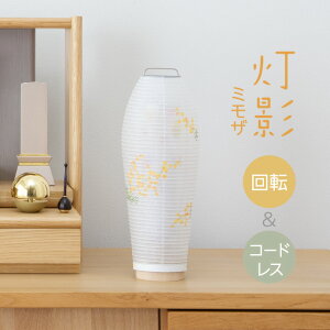 y~񓔁E~傤z~j~ LED R[hX ]s e(ق) ~U 3906 () 28cm×10.5cmyzy~pi ~  _ ~j ~jTCY  킢