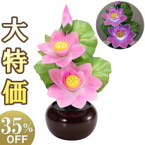 楽天市場】蓮華灯 ルミナス灯の通販