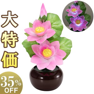 y~񓔁E~傤z~ V^ ~iX @ ǂ 6901-L() 37cm×21cmyzyO LED _ ~j ~jTCY 킢   RpNg ^ 