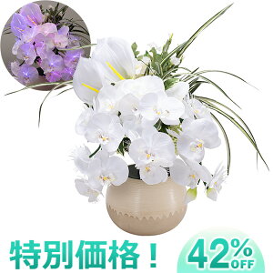 y~񓔁E~傤z~ V^ ~iX AWӒ 6902-L() 46cmyzy~pi O LED G} _ ~jTCY 킢   ~  