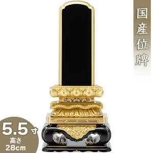 yʔv ꍞ݁z 㓙Lۈʔv 5.5 28cm×14.2cmyzy {ʔv hʔv Èʔv Yʔv        ʔv d 