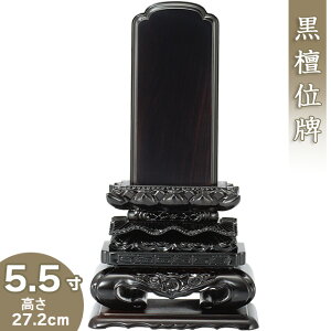 yʔv ꍞ݁z hLʔv 5.5 27.2cm×14.1cmyzy {ʔv ؈ʔv hʔv        ʔv dz