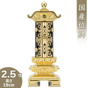 ʔv _doʔv 2.5 19cm×8.1cmyzy~pi  ފ Joʔv hʔv Yʔv {z