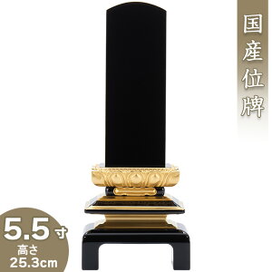 yʔv ꍞ݁z hdCʔv 5.5 25.3cm×9cmyzy {ʔv hʔv Èʔv Yʔv        ʔv 