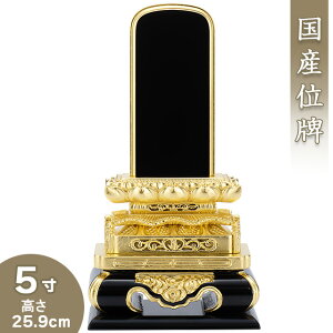 yʔv ꍞ݁z ʔv 5 25.9cm×13.4cmyzy {ʔv hʔv Èʔv Yʔv        ʔv d {