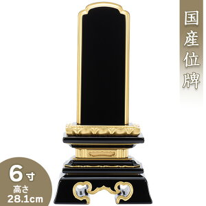 yʔv ꍞ݁z CF(낢)ʔv 6 28.1cm×14cmyzy {ʔv hʔv Èʔv Yʔv        ʔv