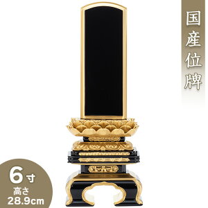 yʔv ꍞ݁z CF(낢)qʔv @ 6 28.9cm×10cmyzy {ʔv hʔv Èʔv Yʔv       