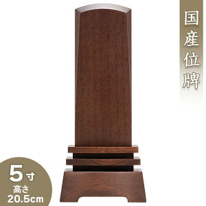 yʔv _ ꍞ݁z _ʔv A EH[ibg 5 20.5cm×8cmyzy {ʔv ~j _ Ƌ Yʔv      