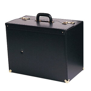 y@pzJoiEEۓP[Xj 49cm×37cm×s26.5cmyzy蕨ꊓ ΂ @ { Yi ފ݁z