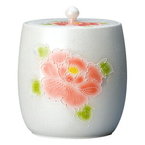 فij Lc ʉO 6 19.5cm×a18cm yzy     茳{  [ ⍜   悶܂z