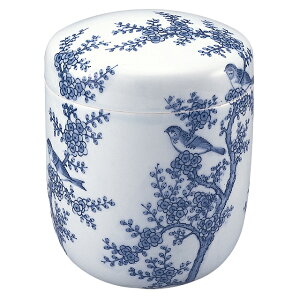 فij t` Ԓ 7 24.5cm×a21.2cm yzy     茳{  [ ⍜   悶܂z