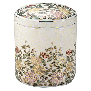 فij ʓS 7 24.5cm×a21.2cm yzy     茳{  [ ⍜   悶܂z