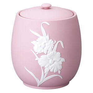 فij JIsN 7 25cm×a21.5cm yzy     茳{  [ ⍜   悶܂z