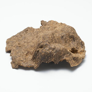 v~Ai񂱂j ؎p n ɏV 92g yxgiYzyzy V  n` R u i @ LOi Mtg 蕨 j v[g 