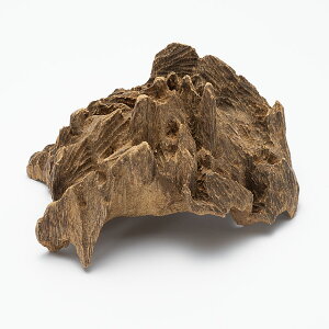 v~Ai񂱂j ؎p ɏ^j 121g yChlVAYzyzy ^j  n^ R u i @ LOi Mtg 蕨 j v[g i 