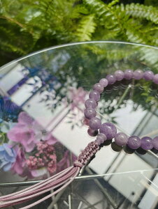 yS₩ɂĒa𐶂ݏozy_΁@jp@VR΁@j@22ʁ@F@O@s쐻g@Eϗ́@a@@@R[@Oz_΁@jp