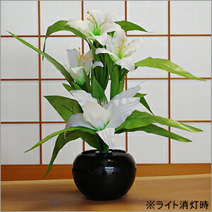 ᐴ^Ȃ̉ԂP܂y~񓔁@~񓔂 LED @dt R[hX@ 񓔂ԔF@V~䋟@~䋟@񓔂@Oh~iX [ 50Z`@CeA