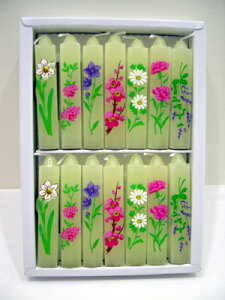 sYȊG[\Nty[֑zyG?C@p[@lG̊G@G[@ԃA\[g 14{ [J[l[V ꂢ Ȃ 낤X [