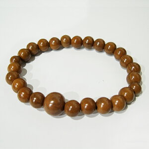 �s�l�R�|�X�֑��������t�y�r�ց@�����@����؋ʁ@����r�ց@�j���p�@���~�@19�Z���`�@���@����@����w��@����@���싞�s�@���~����@�����݂�����@�������@����M�t�g�@���~�@