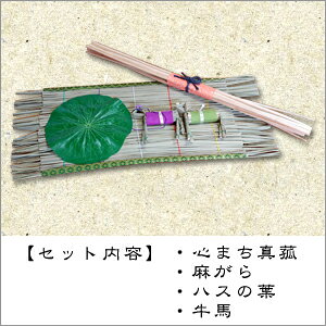 ܂E@̗tEñZbgy ܂^nqV~^~^~pi^~Zbg^V~^~piz56×24@S܂Zbg TCYz S܂Zbg