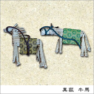 Ⴒcl̏蕨ynl`^܂Zbg@傤傤܁zy~@/n@Ez ^ԁ@n@݂