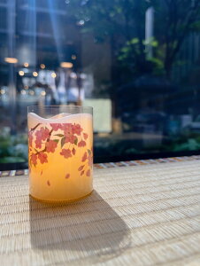 s߂ty͂ dr[\N [@΂gȂ  SS  LED[\N S S[\N dr[\N drt 킢 ~ d Mtg d΍z