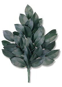 yԁ@TJLzy _Ipzy @TJL@_Iz Sakaki