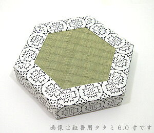 y㕧E_EmEdpE@zތp ^^~5.5