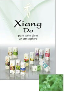 【香老舗松栄堂  peppermint ペパーミント シソ科 ハッカ属 軽やかな香り ギフト 贈答用 癒し 室内香 香立 香炉 20本入 Xiang Do Series ペパーミント】Xiang Do Series ペパーミント