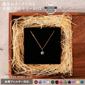 ネックレス 誕生石 モチーフ アクセサリーBOX 金属アレルギー対応 レディース ギフト オールシーズン プレゼント プチプライス シンプル かわいい レディース 42cm 48cm 女性 アクセサリー 誕生石 ネックレス 5月 4月 選べる メッセージカード 刻印