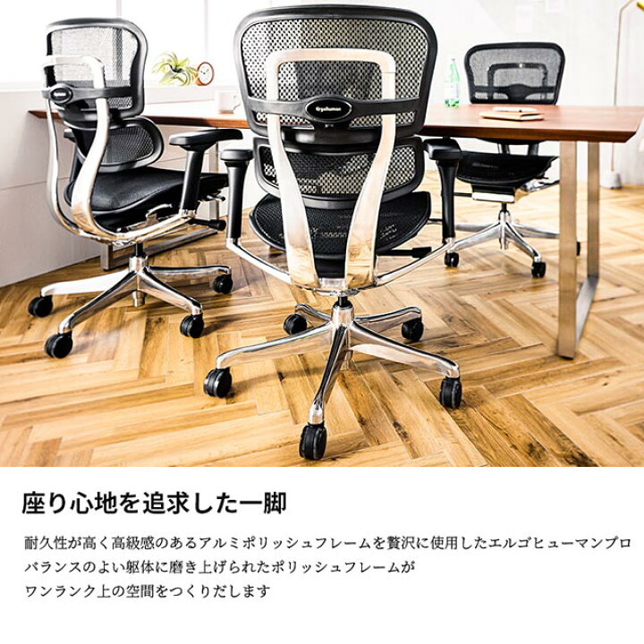 楽天市場】2025年新型 レビュー特典あり エルゴヒューマン プロ2 